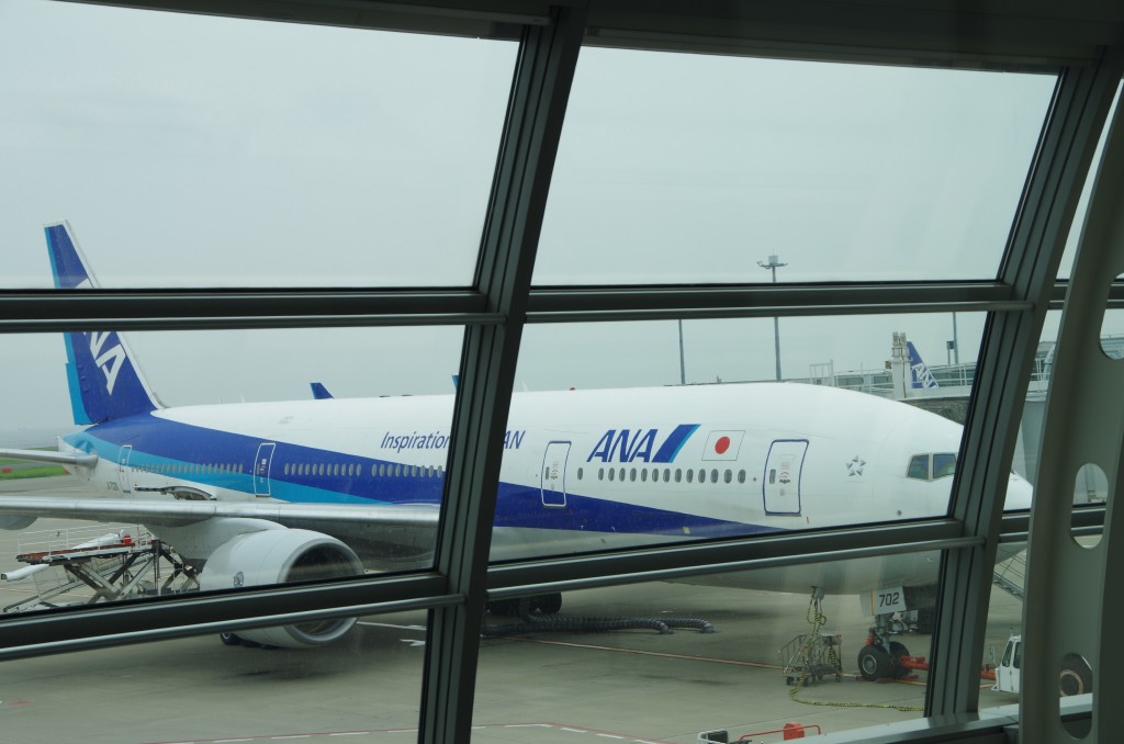 IMGP5851