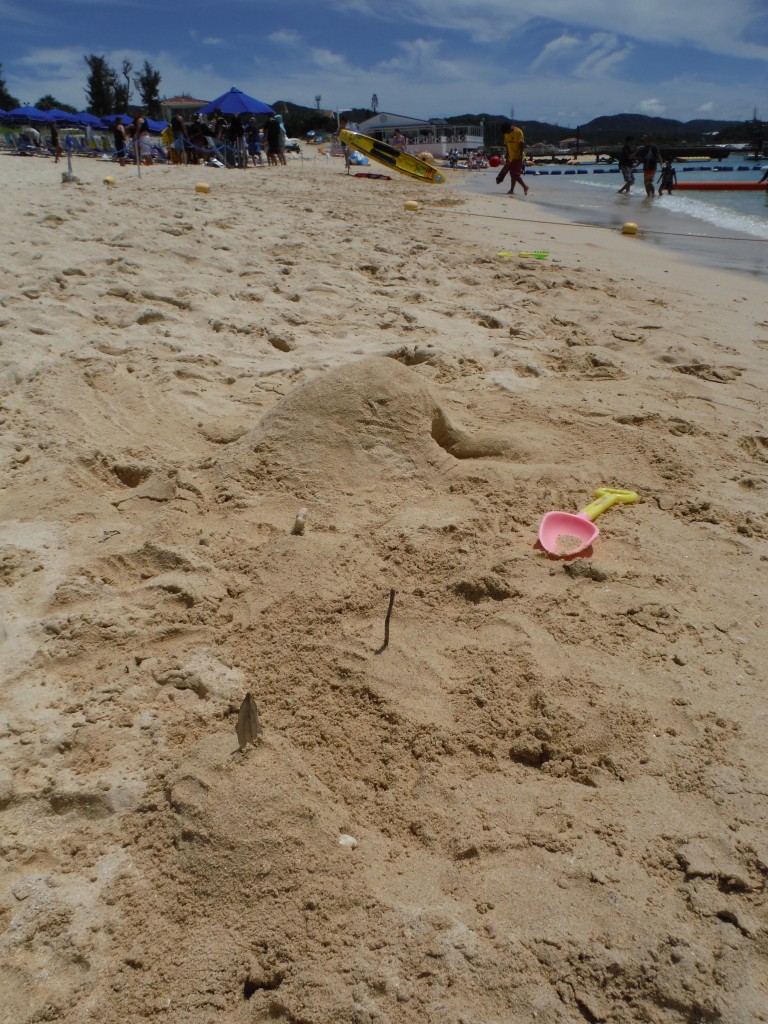 DSCF2769