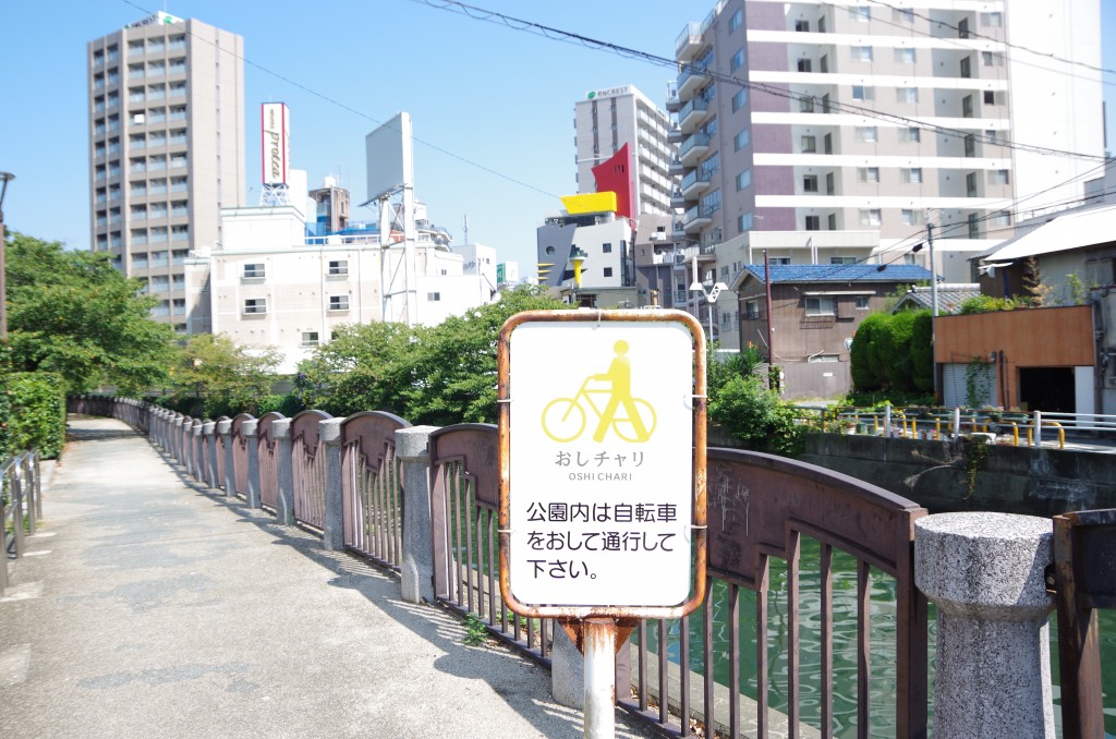 IMGP7354