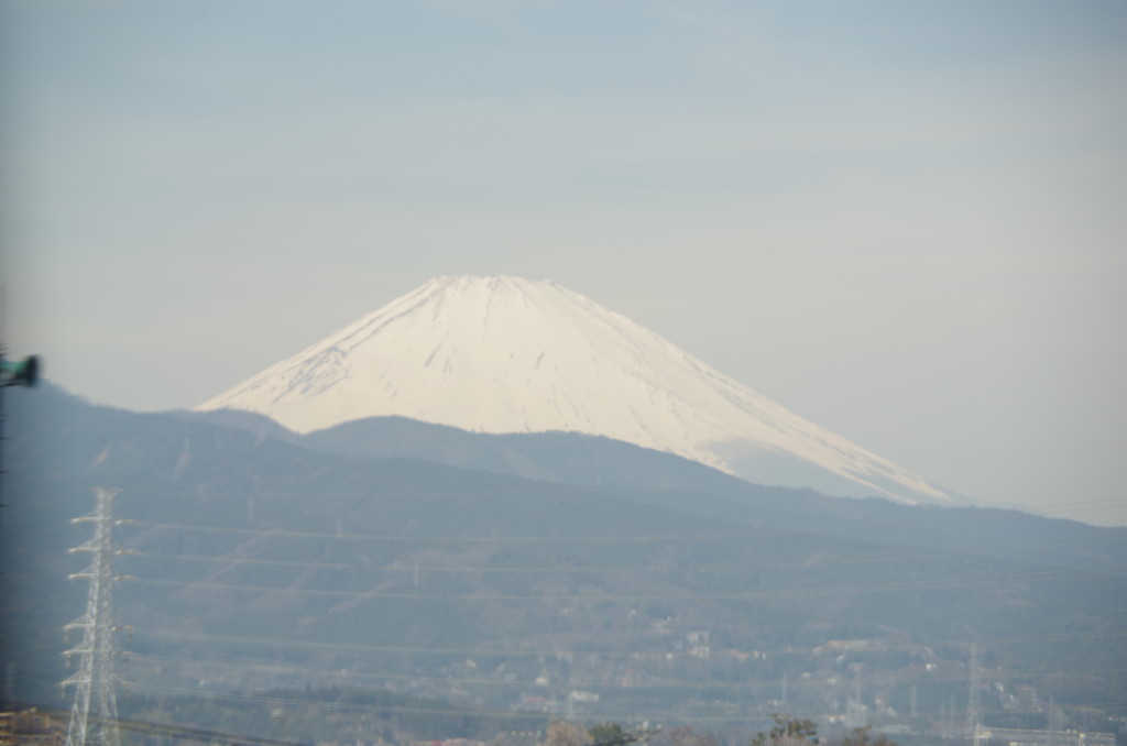 IMGP7945