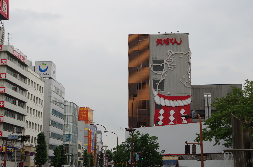 IMGP8564