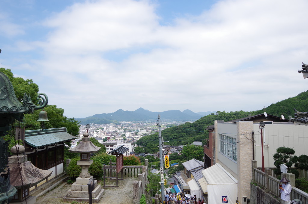 IMGP8656