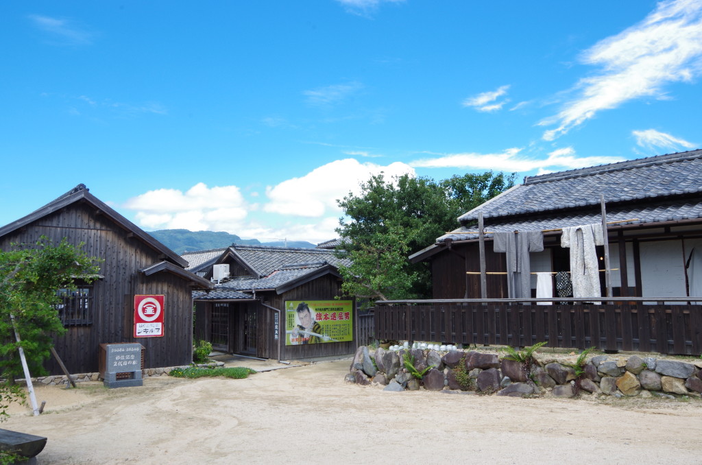 IMGP8804
