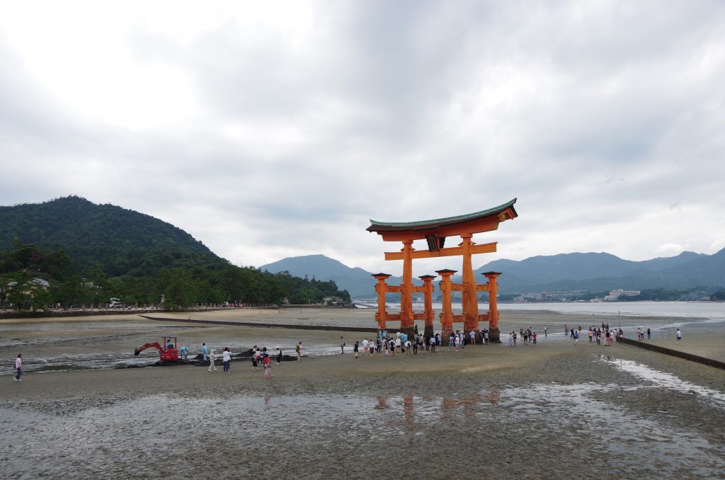 IMGP9620