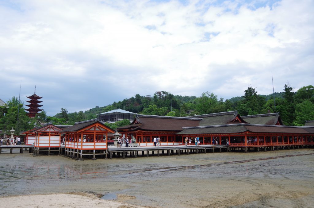 IMGP9629