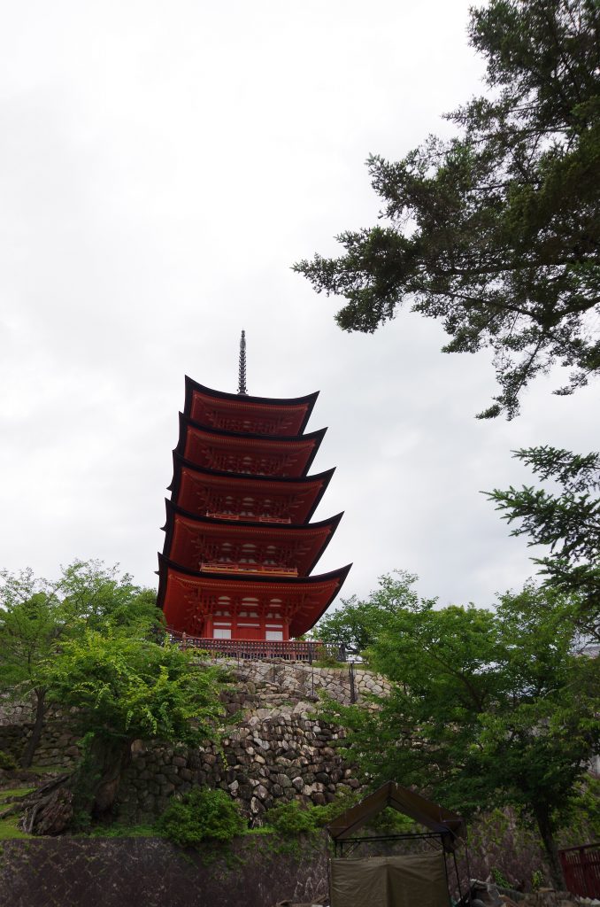 IMGP9631