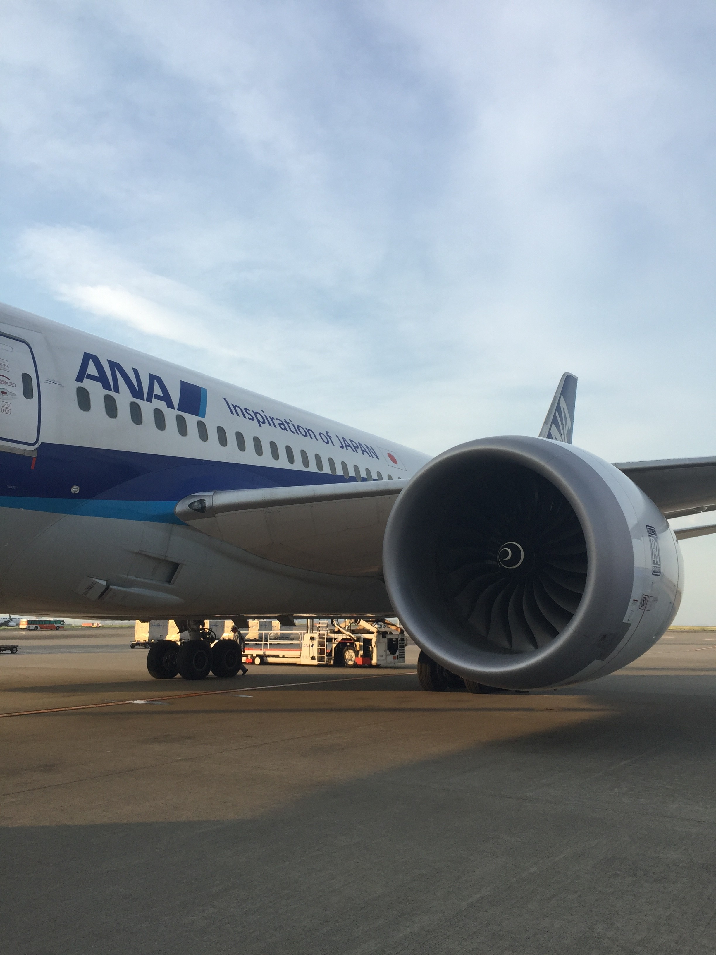 ユナイテッド航空のマイレージでANAの国内線を予約する方法