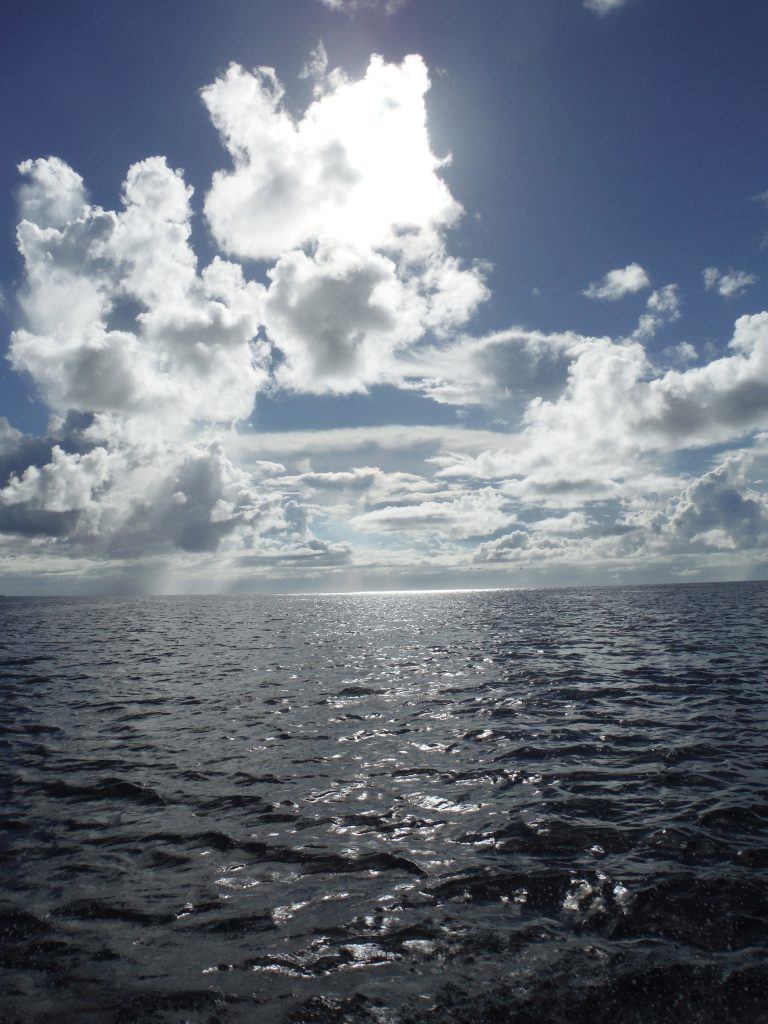 DSCF4792
