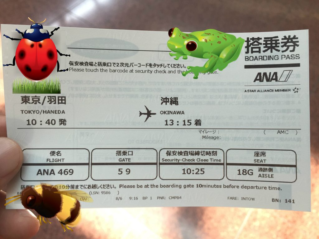ticket