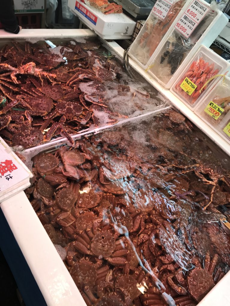 02【小樽】三角市場で海鮮丼を食べる