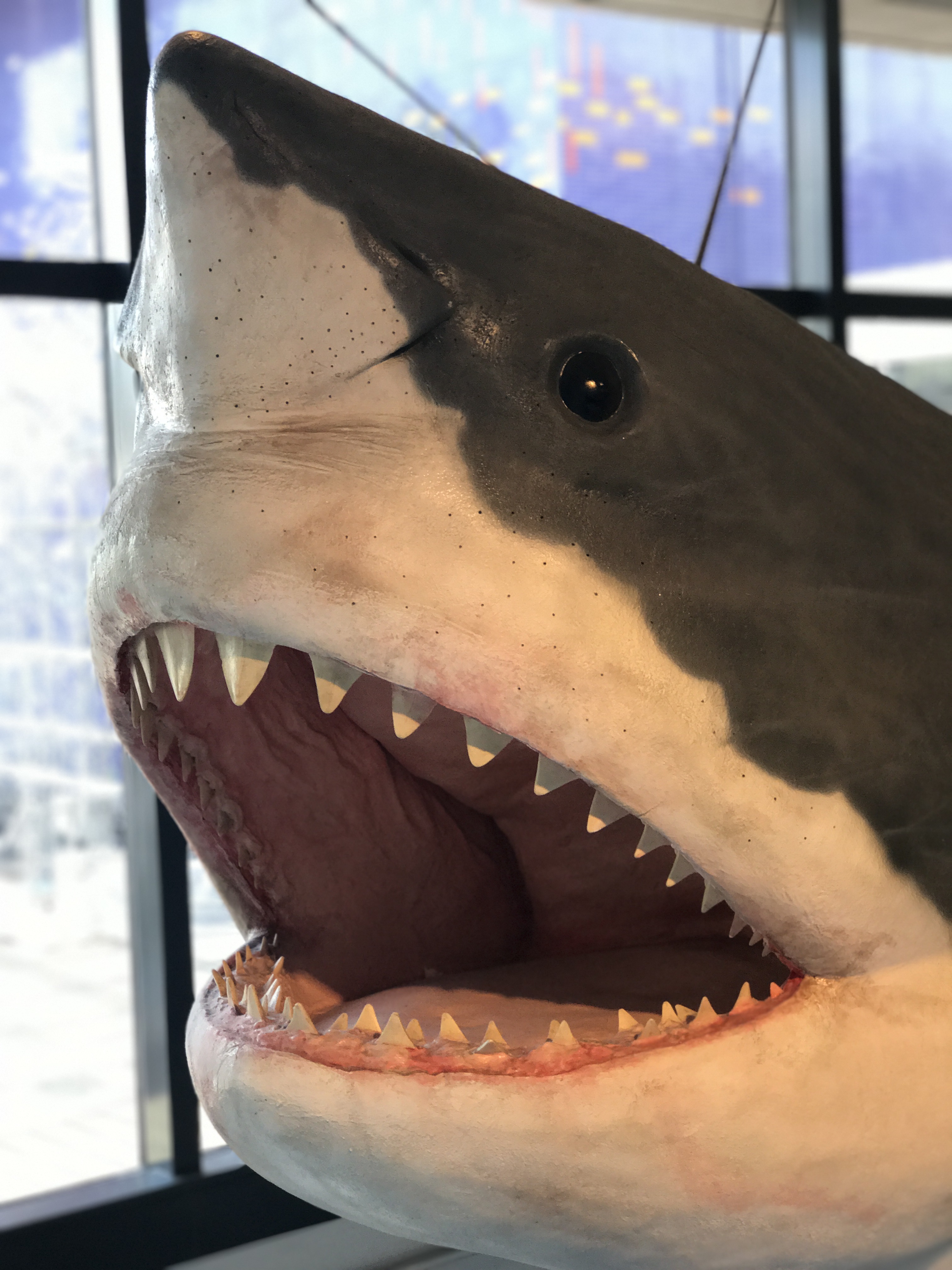 09 海遊館の行き方