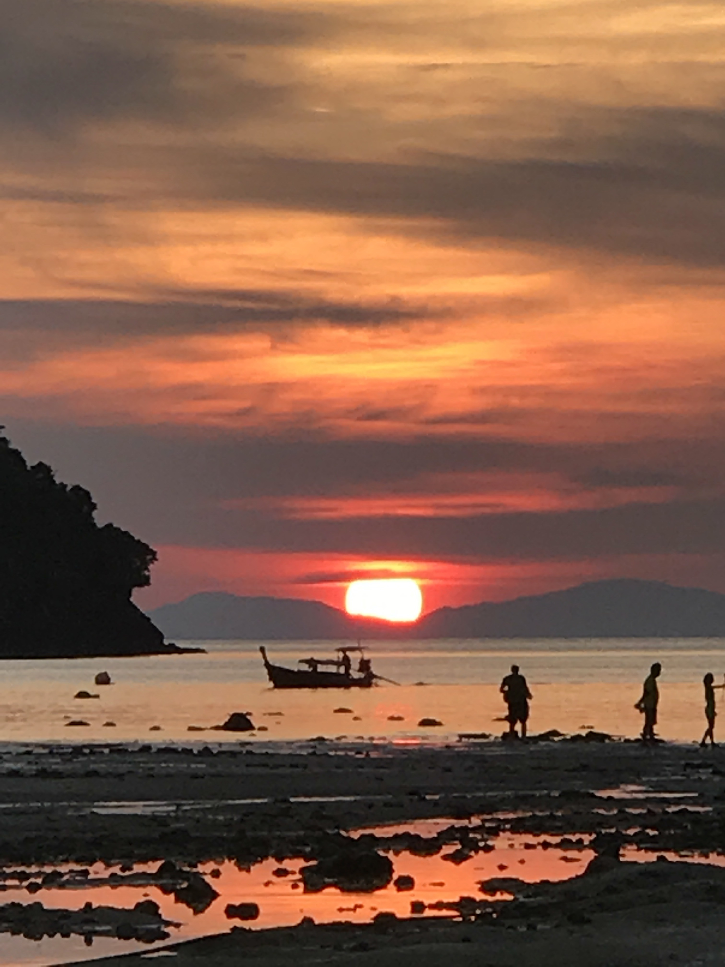 プーケット＆ピピ島旅行記 18【ピピ島】ネコ探索【夜の部】