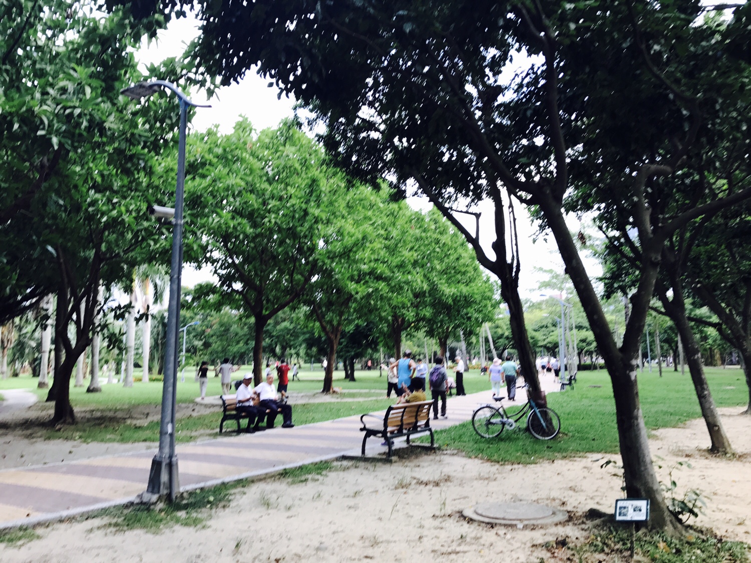 【台北】おすすめスポット ‬ 大安森林公園に棲む生物