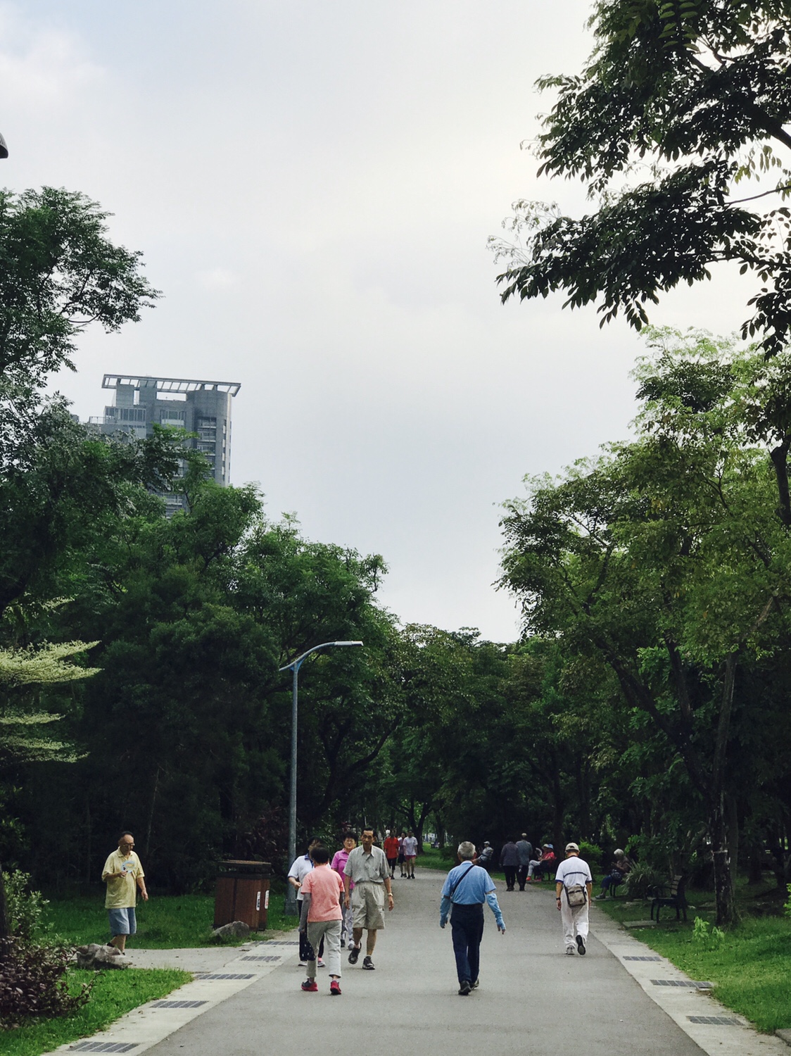 【台北】おすすめスポット ‬ 大安森林公園に棲む生物