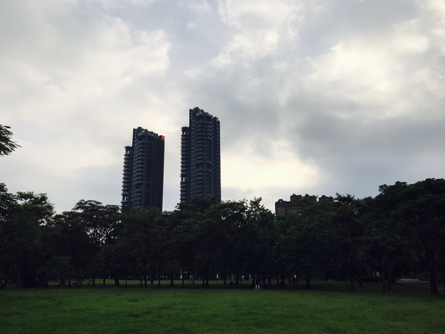 【台北】おすすめスポット ‬ 大安森林公園に棲む生物