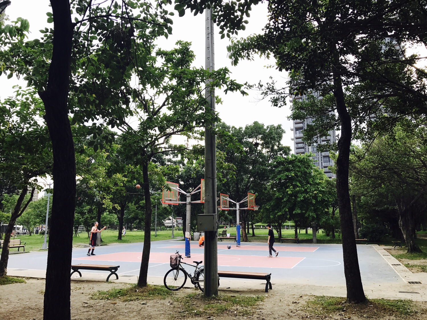 【台北】おすすめスポット ‬ 大安森林公園に棲む生物