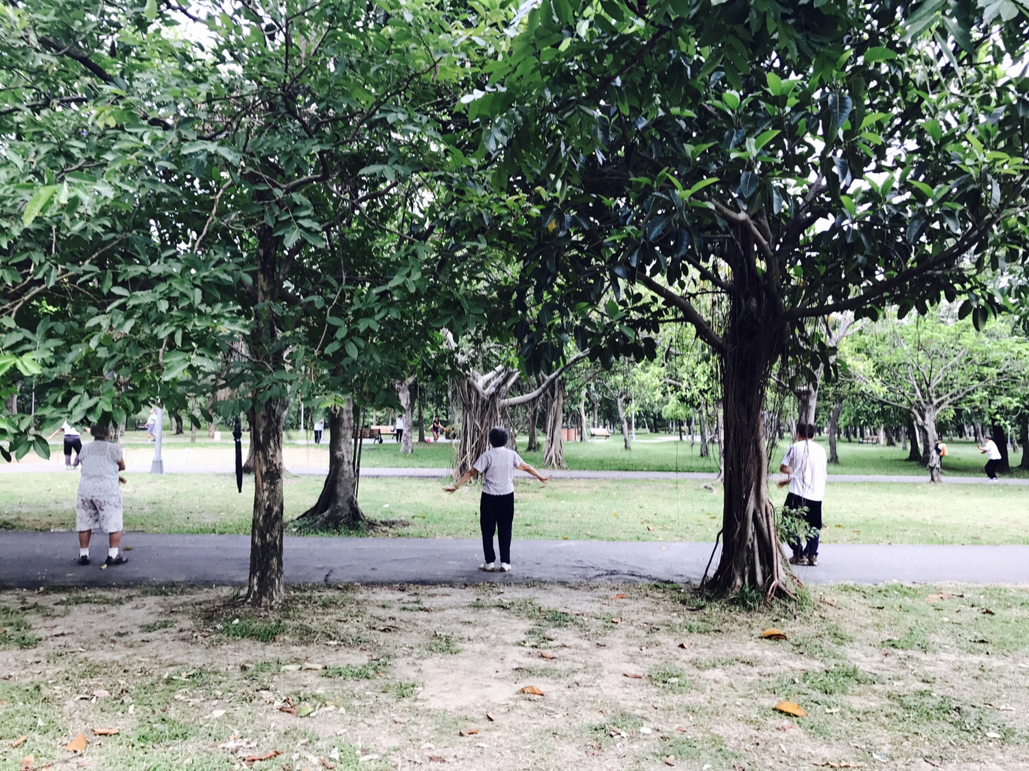 【台北】おすすめスポット ‬ 大安森林公園に棲む生物