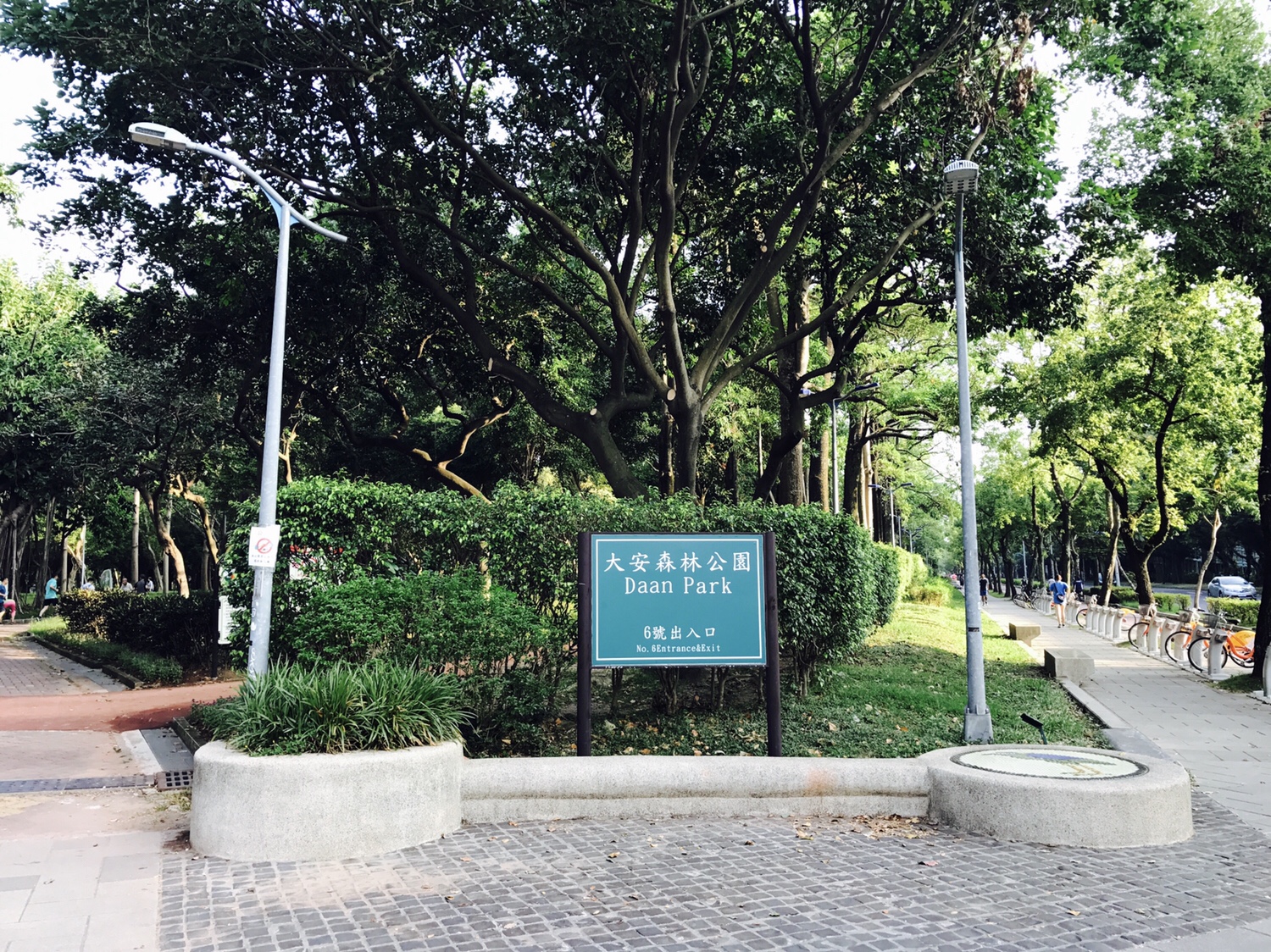 【台北】おすすめスポット ‬ 大安森林公園に棲む生物