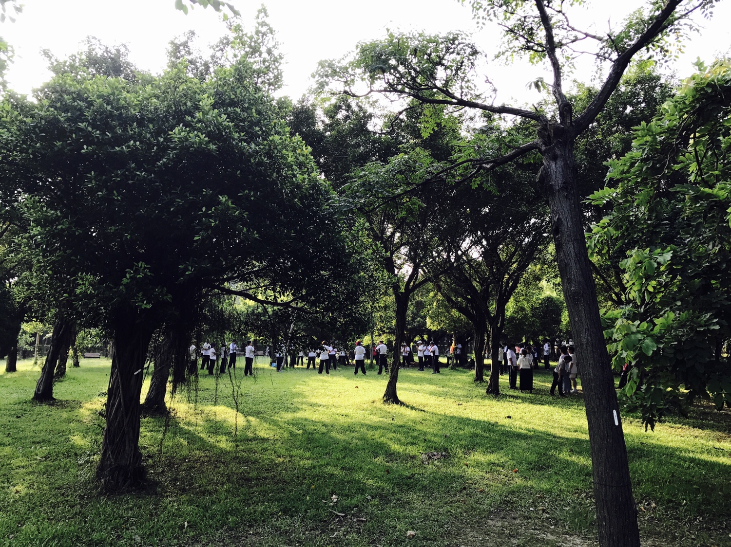 【台北】おすすめスポット ‬ 大安森林公園に棲む生物