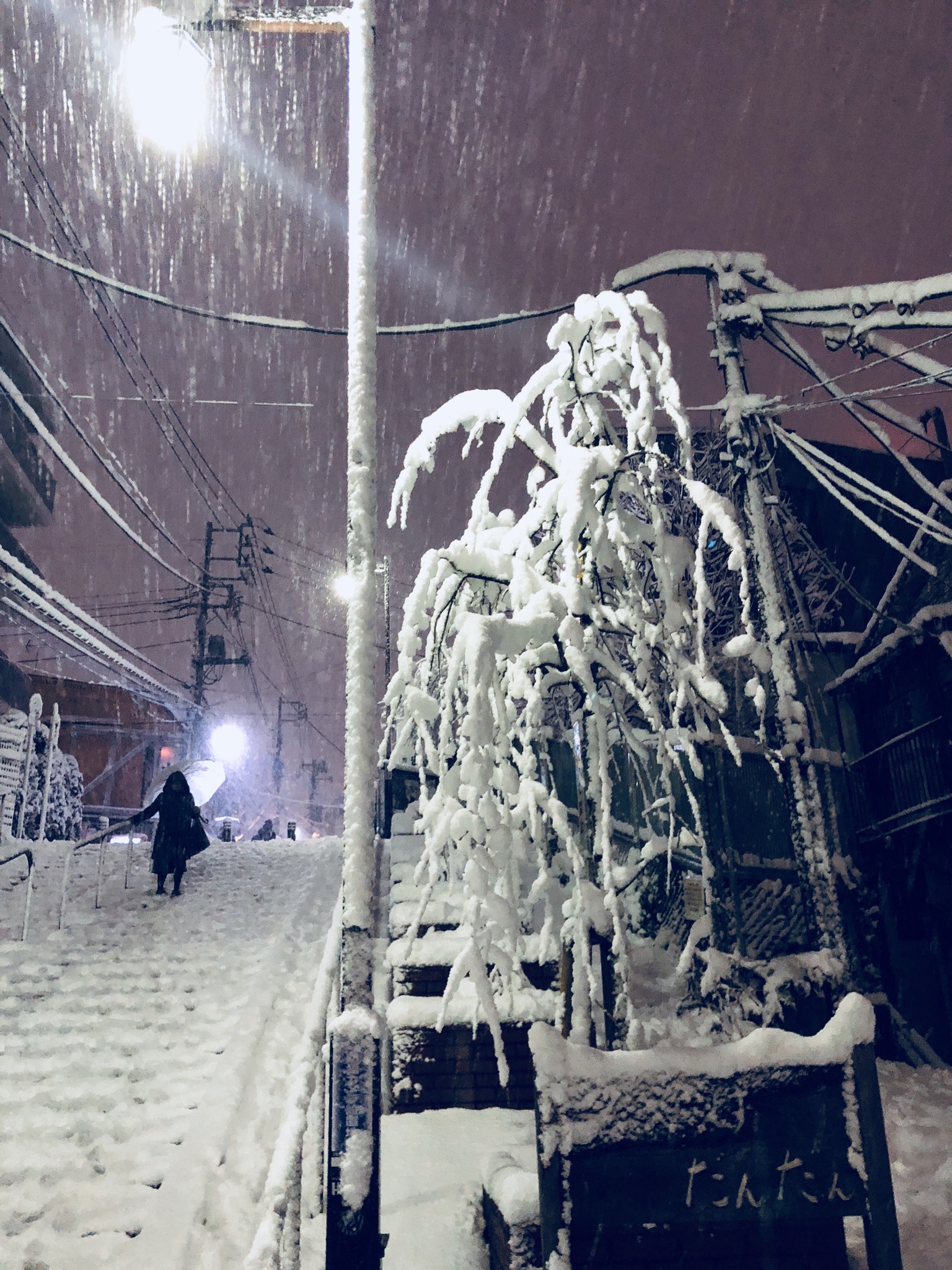 【谷中】雪の夕やけだんだん