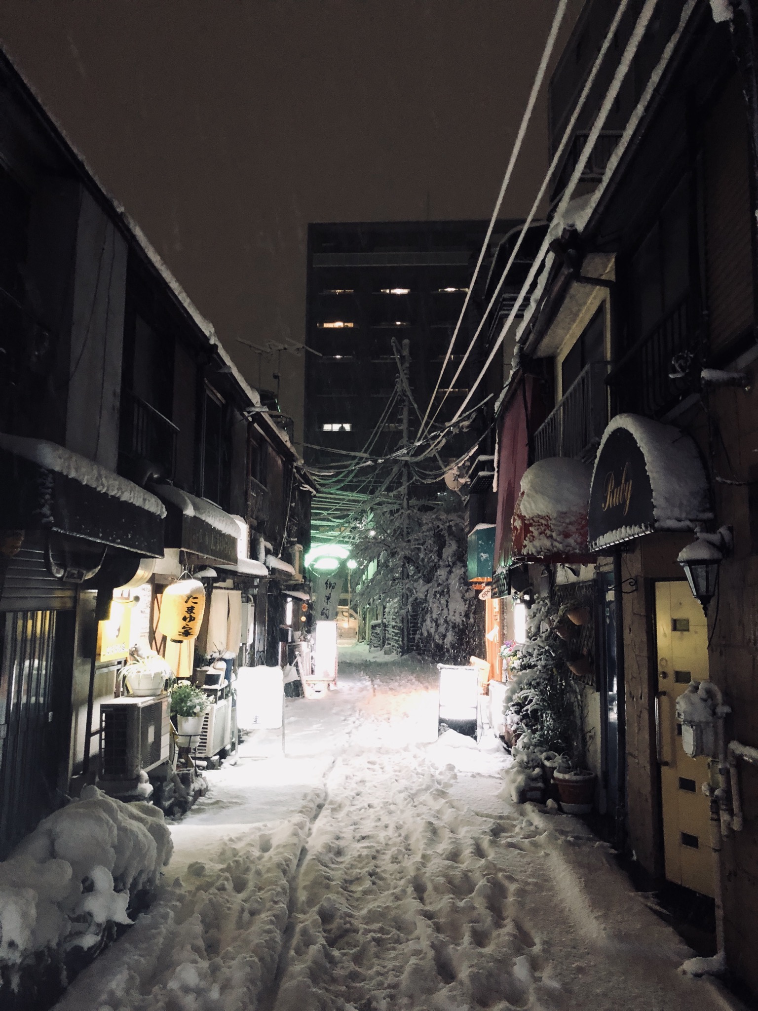 【谷中】雪の夕やけだんだん