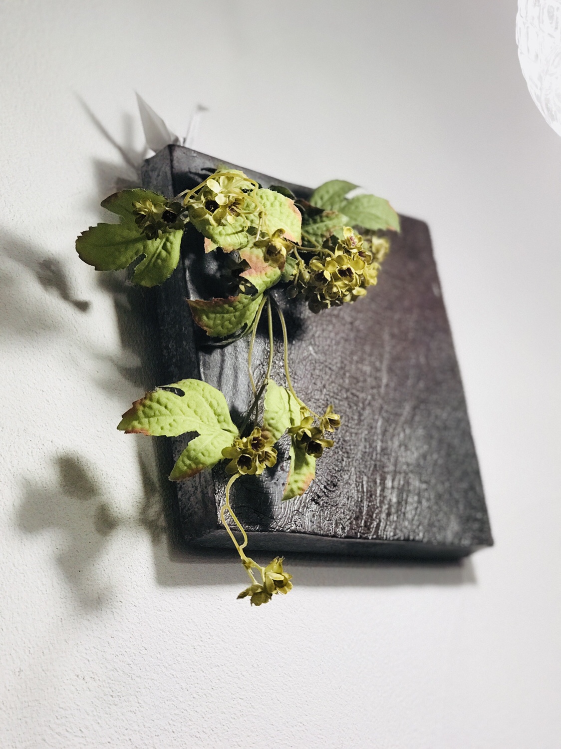 京都之旅 抹茶のティラミスとは？