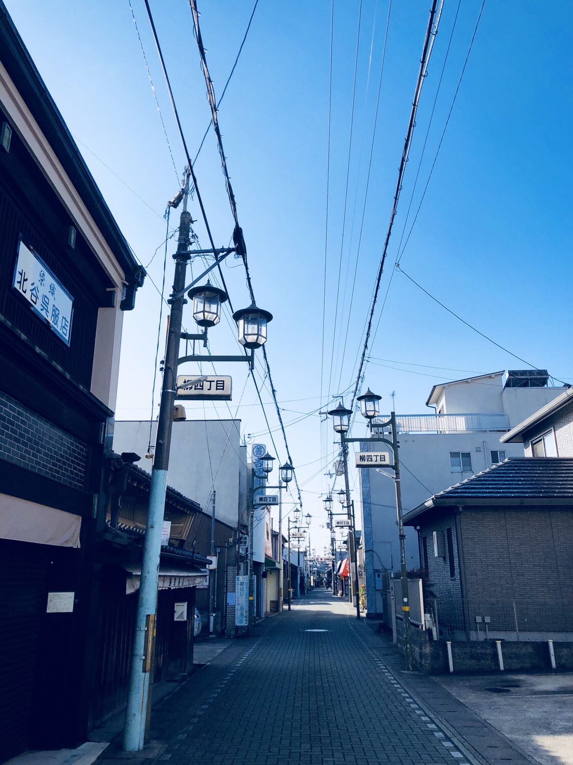 奈良之旅 金魚の町大和郡山の「ねこまど」って知ってる？
