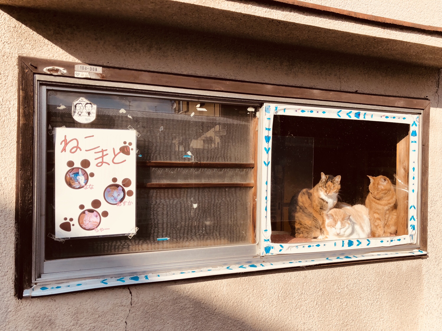 奈良之旅 金魚の町大和郡山の「ねこまど」って知ってる？