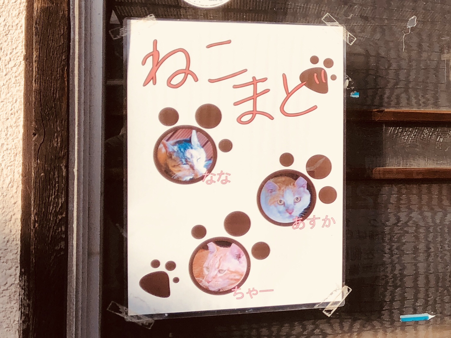 奈良之旅 金魚の町大和郡山の「ねこまど」って知ってる？