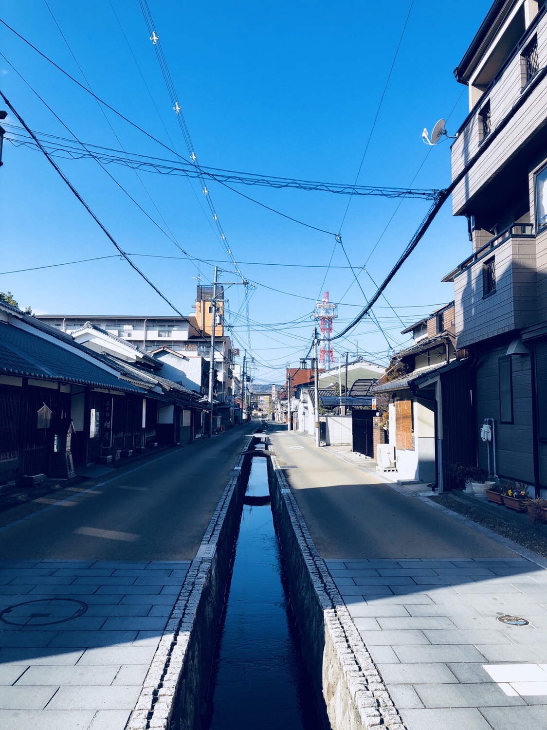 奈良之旅 金魚の町大和郡山の「ねこまど」って知ってる？