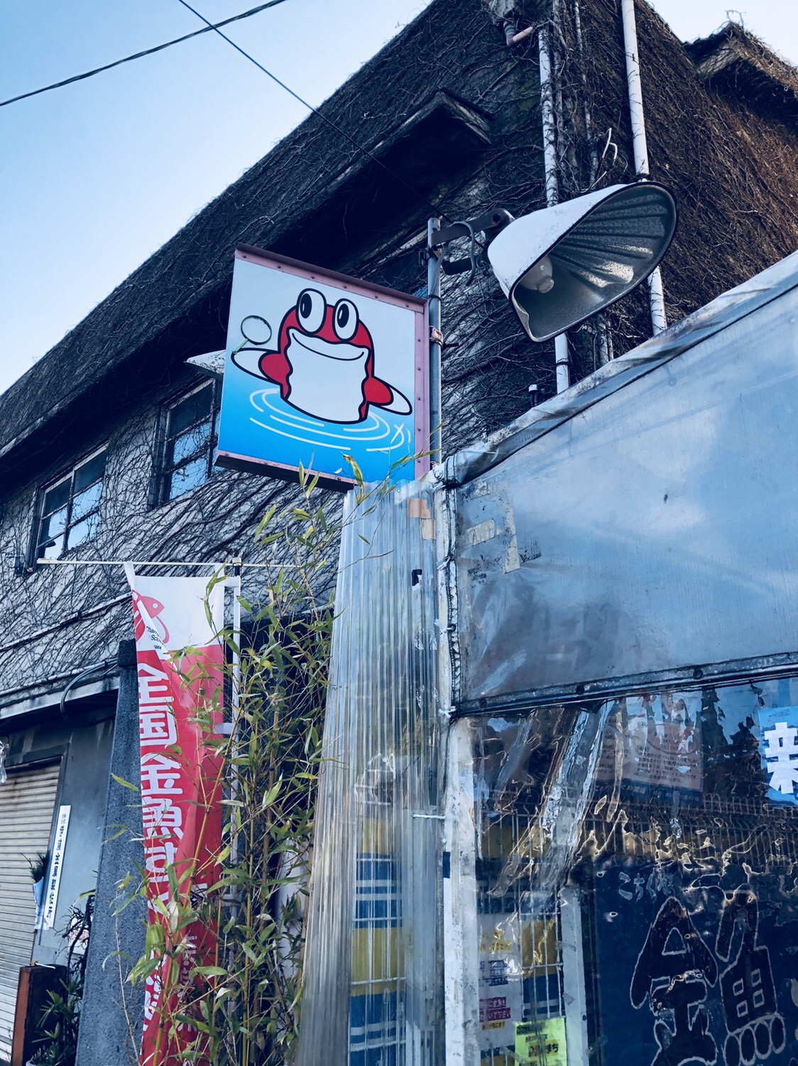 奈良之旅 金魚の町大和郡山の「ねこまど」って知ってる？