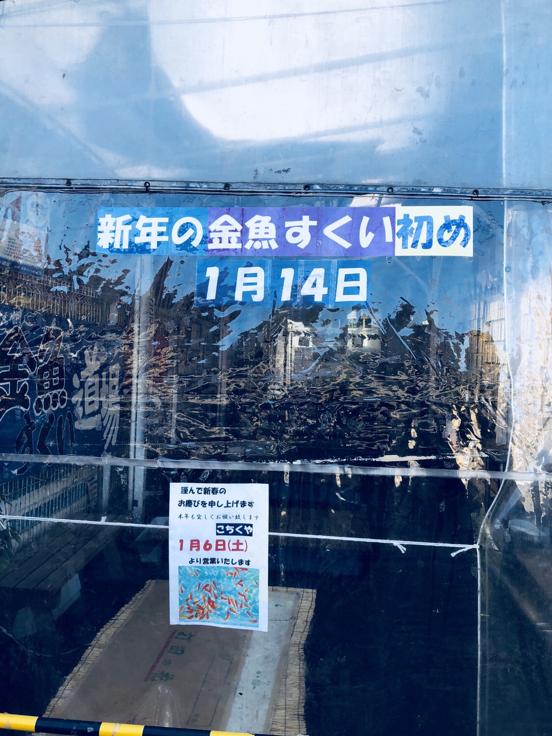 奈良之旅 金魚の町大和郡山の「ねこまど」って知ってる？