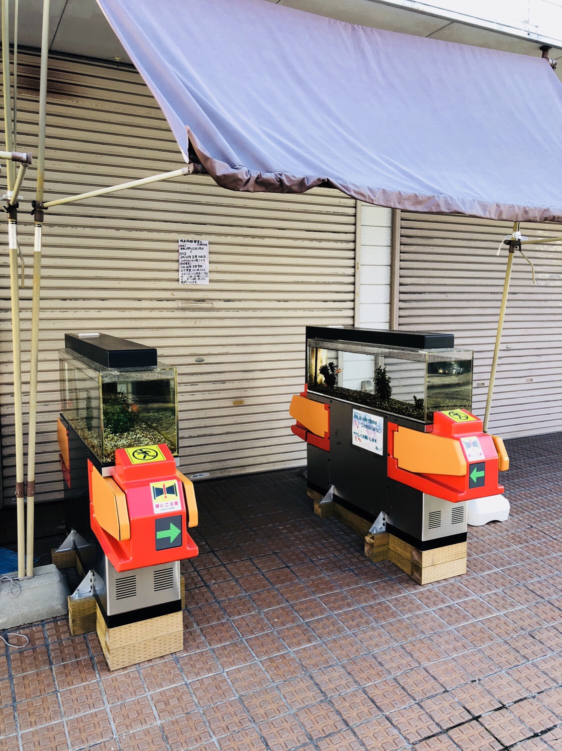 奈良之旅 金魚の町大和郡山の「ねこまど」って知ってる？