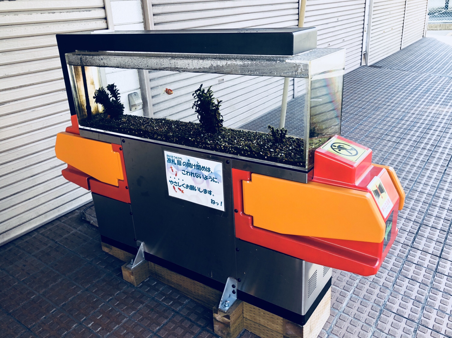 奈良之旅 金魚の町大和郡山の「ねこまど」って知ってる？