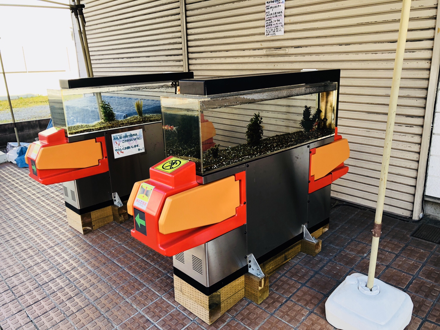 奈良之旅 金魚の町大和郡山の「ねこまど」って知ってる？