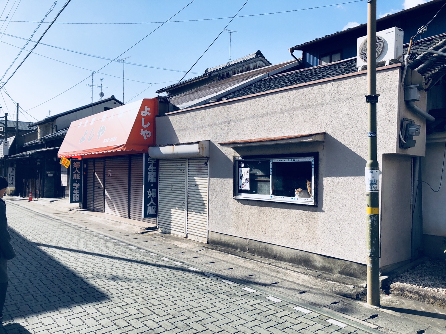 奈良之旅 金魚の町大和郡山の「ねこまど」って知ってる？