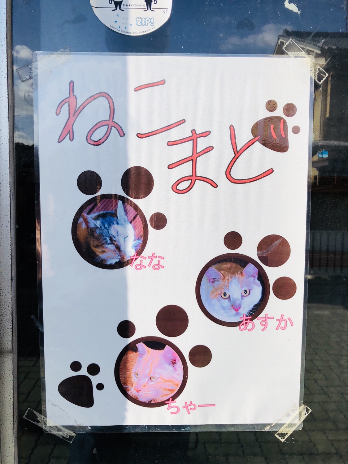 奈良之旅 金魚の町大和郡山の「ねこまど」って知ってる？