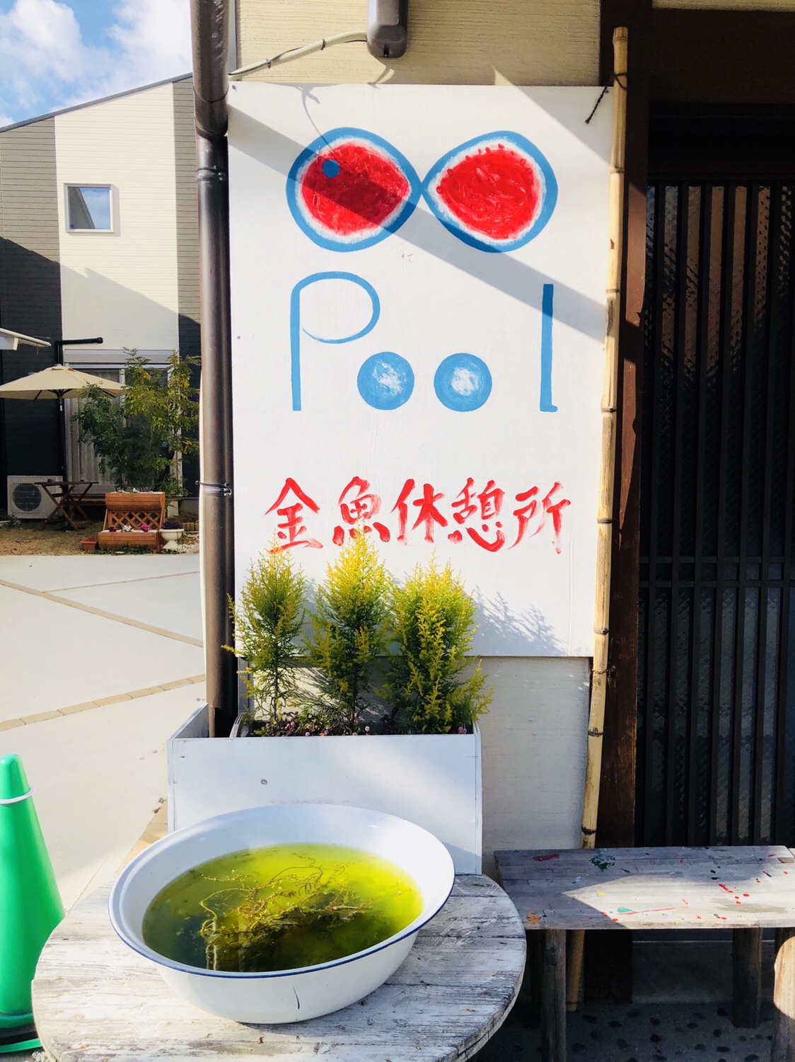 奈良之旅 金魚の町大和郡山の「ねこまど」って知ってる？
