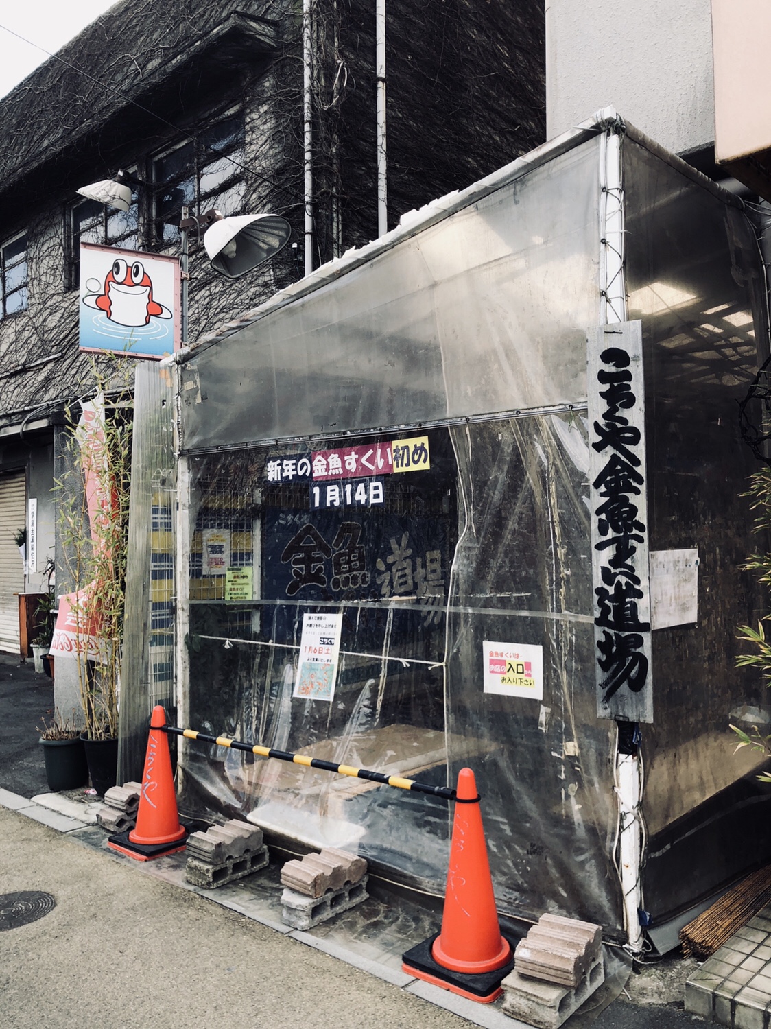 奈良之旅 金魚の町大和郡山の「ねこまど」って知ってる？