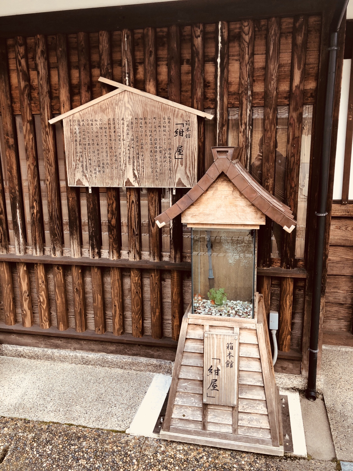 奈良之旅 金魚の町大和郡山の「ねこまど」って知ってる？