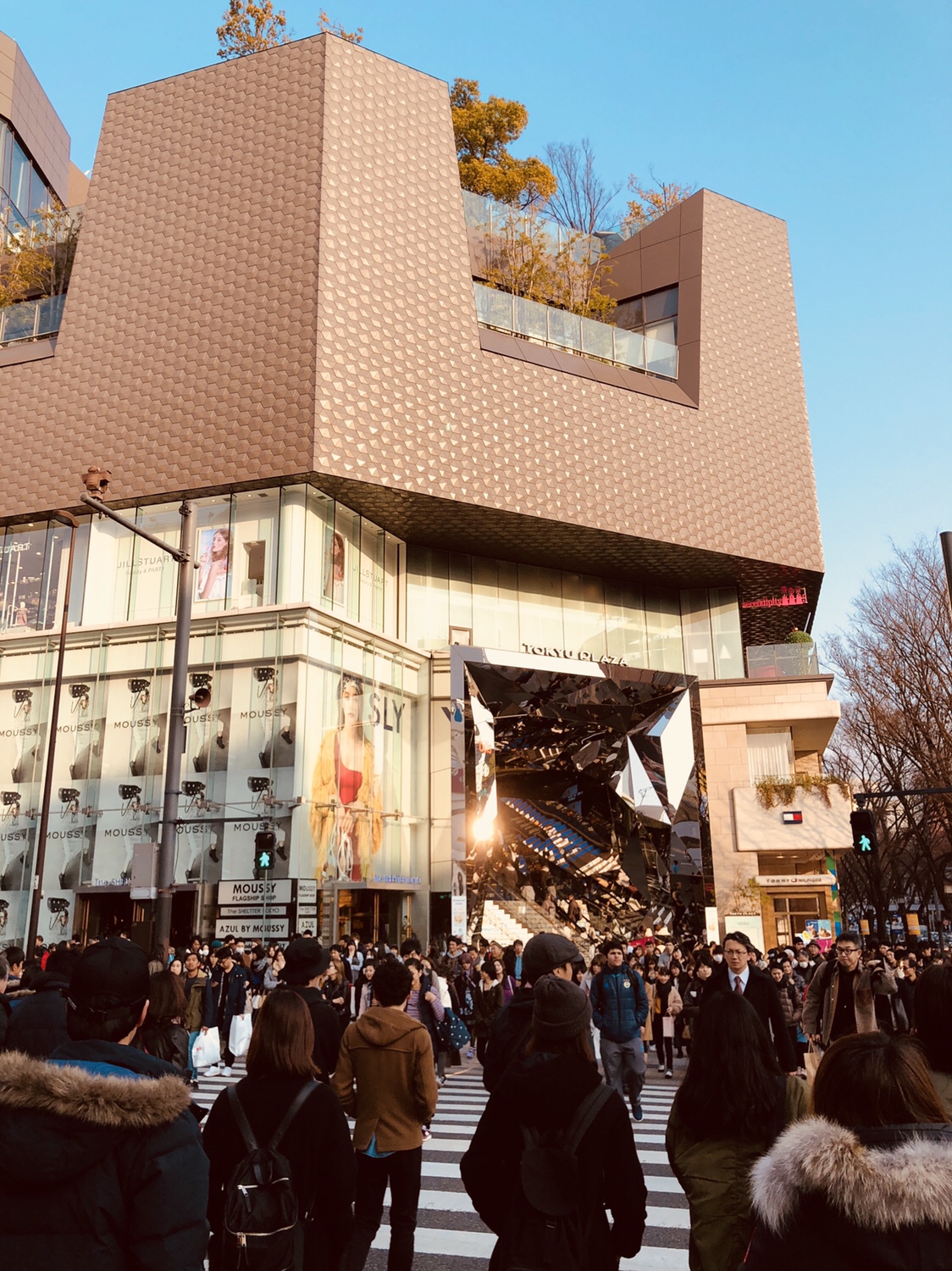 【東京グルメ】冬にかき氷を食べる方法 恵比寿〜原宿編