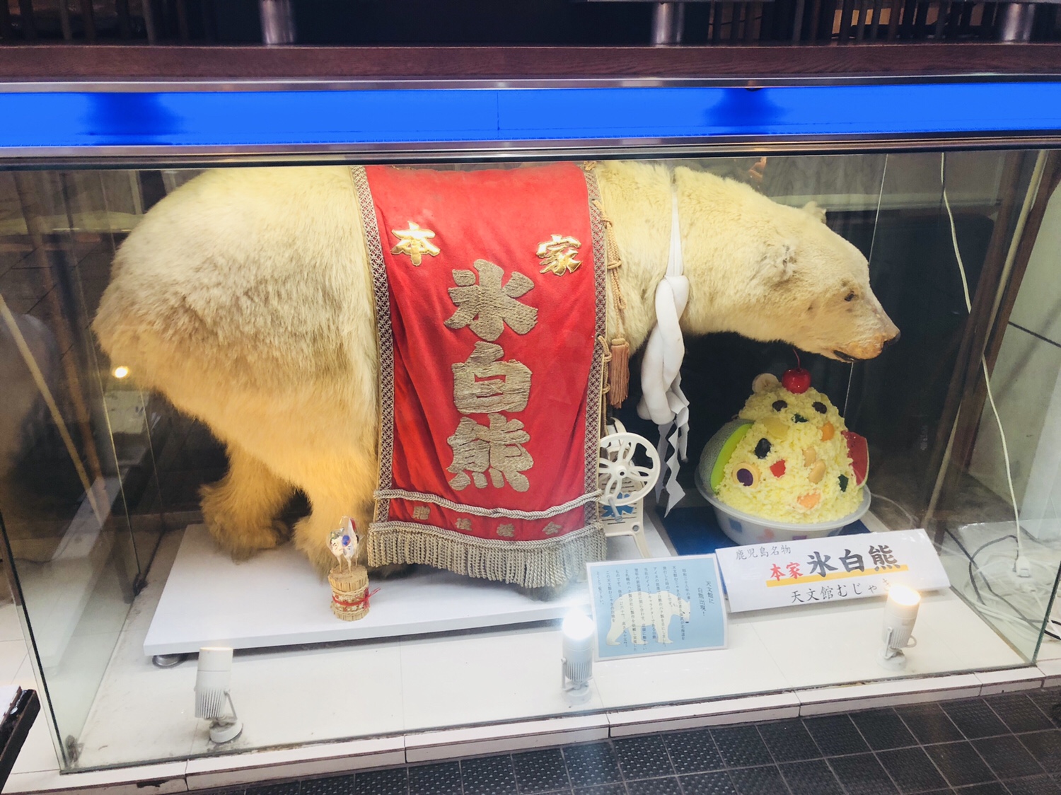 九州之旅 EP07 鹿児島で むじゃきにしろくま 食べ食べ回 上の句