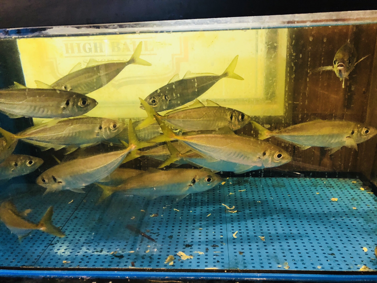 九州之旅 EP14 小倉味楽別館 魚に餃子【食べ食べ回】