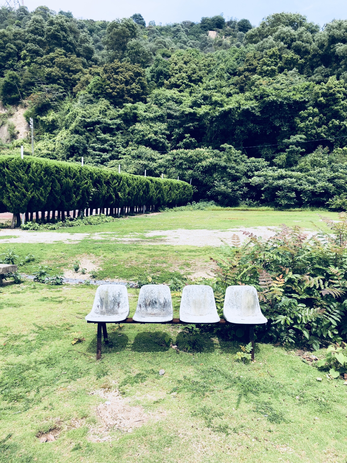 15【うさぎ島】楽しみ方【ビヨーン】
