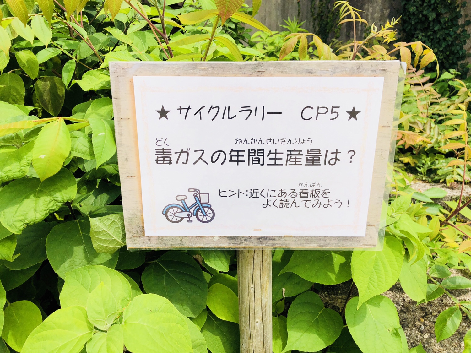 15【うさぎ島】楽しみ方【ビヨーン】
