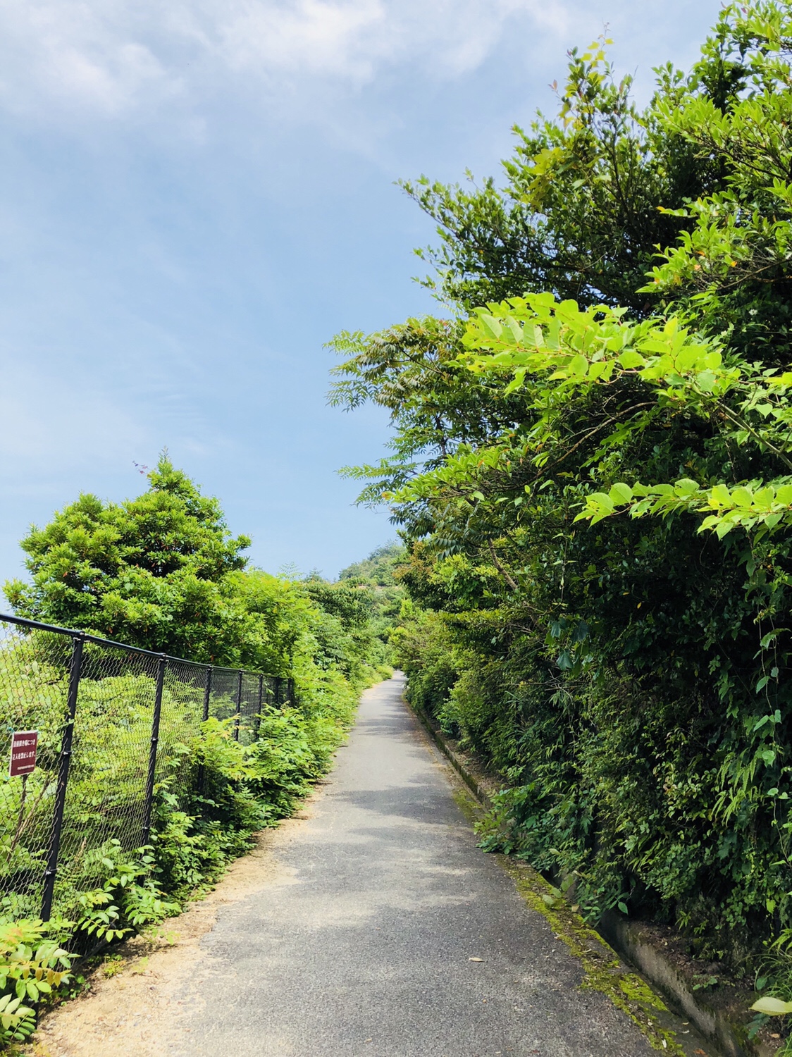15【うさぎ島】楽しみ方【ビヨーン】