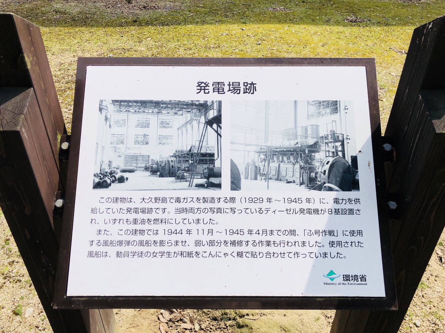 15【うさぎ島】楽しみ方【ビヨーン】