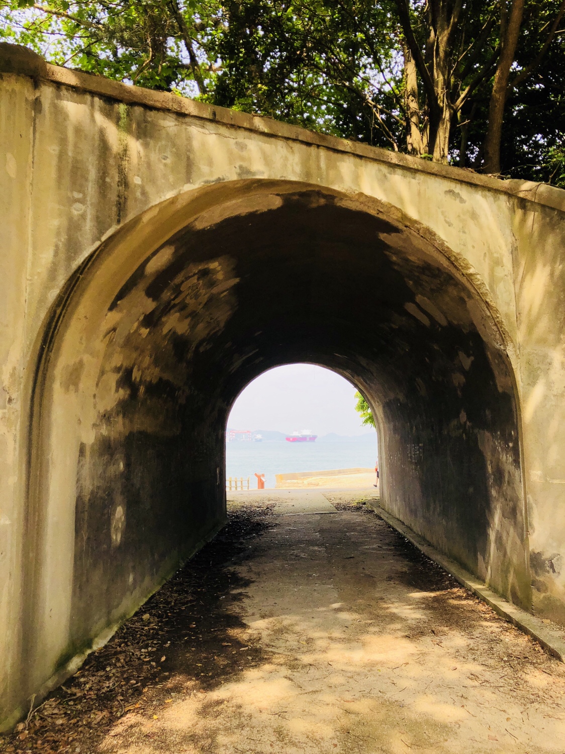 15【うさぎ島】楽しみ方【ビヨーン】