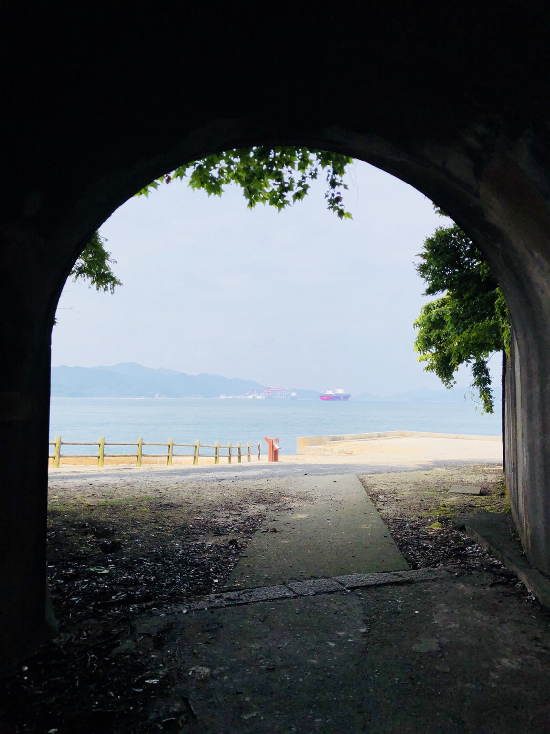 15【うさぎ島】楽しみ方【ビヨーン】