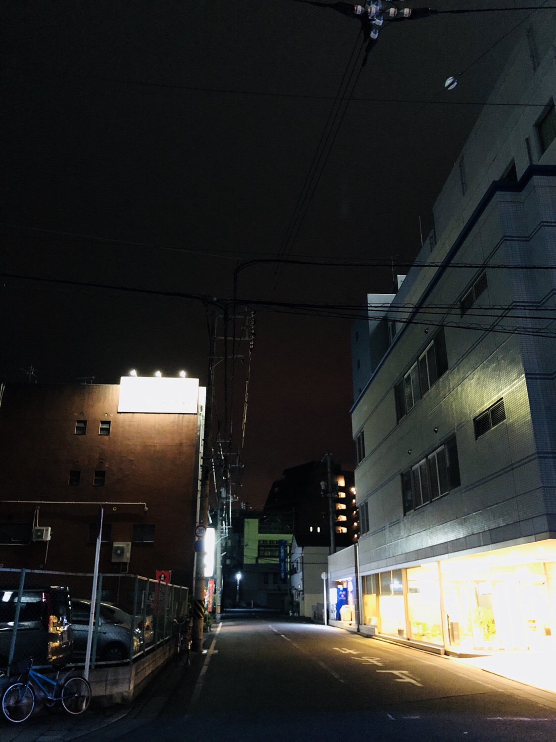 12 本家鳥好でみそだき【広島】